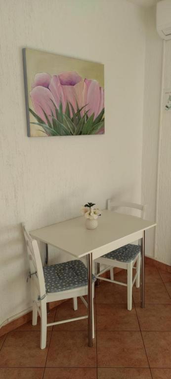 Mali Delfin Apartment Sveti Juraj Ngoại thất bức ảnh